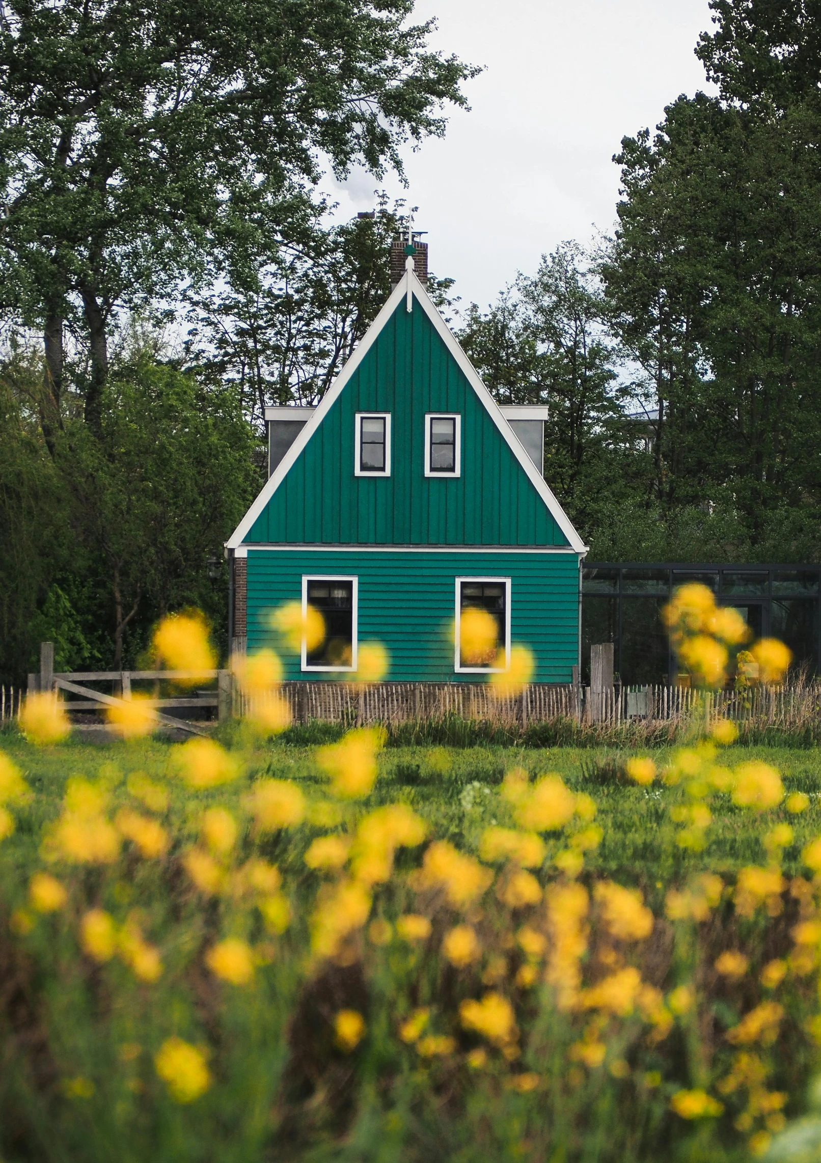 a small blue and green house near yellow flowers