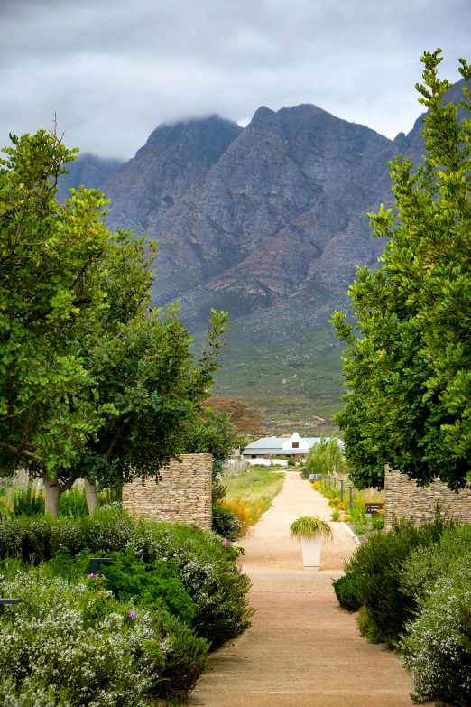 the pathway through the park has mountains in the background