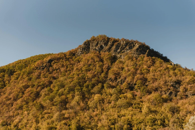 a large mountain with lots of vegetation on it