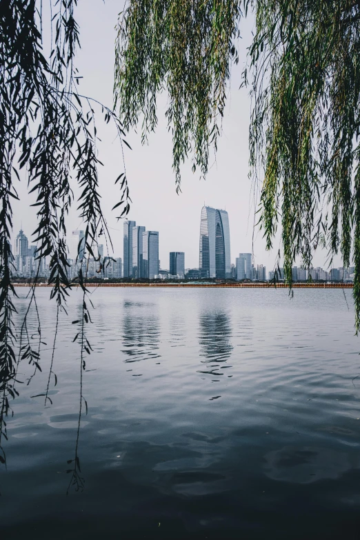 a body of water next to a large city