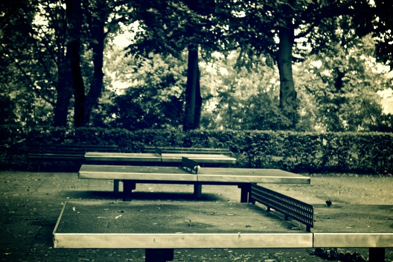 two long benches near trees, one is empty