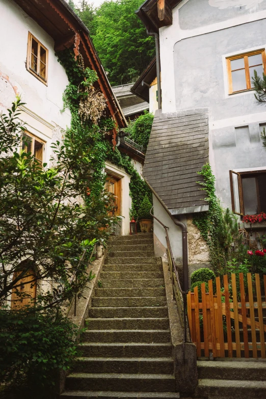 a group of steps with lots of plants growing along them