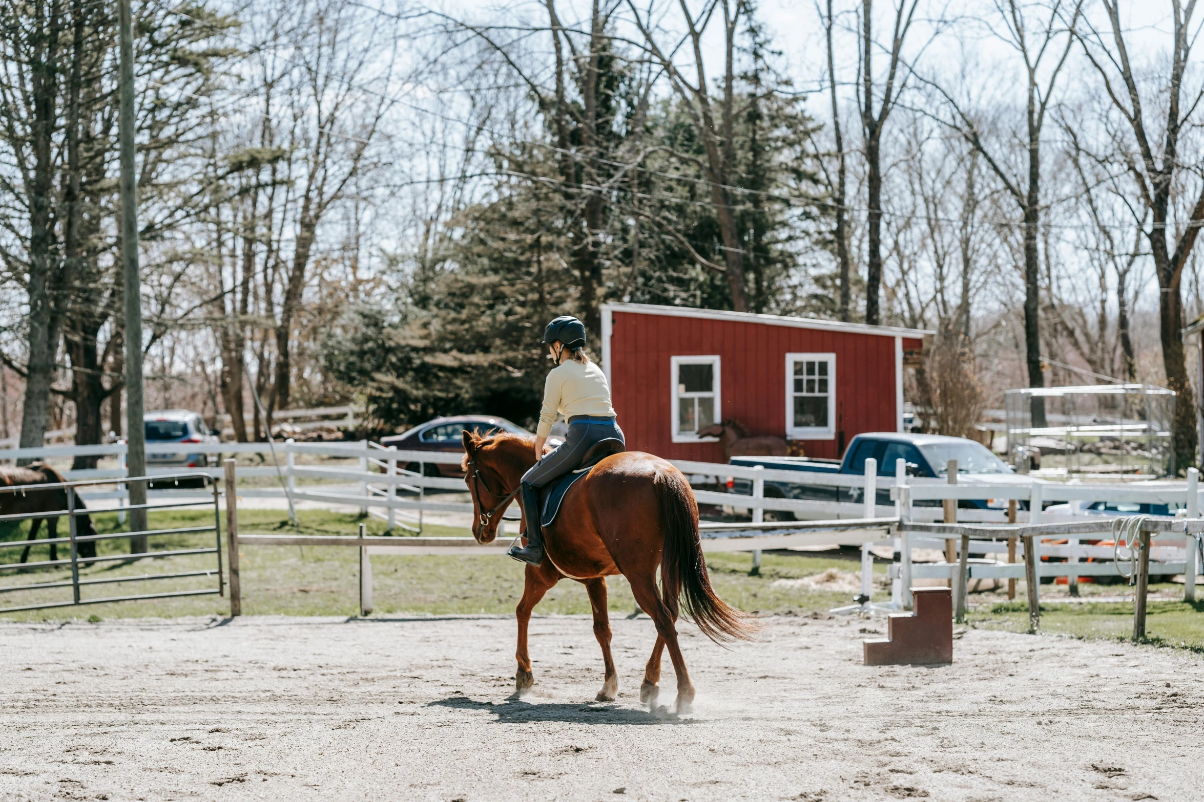 a young lady riding a horse in an enclosed area