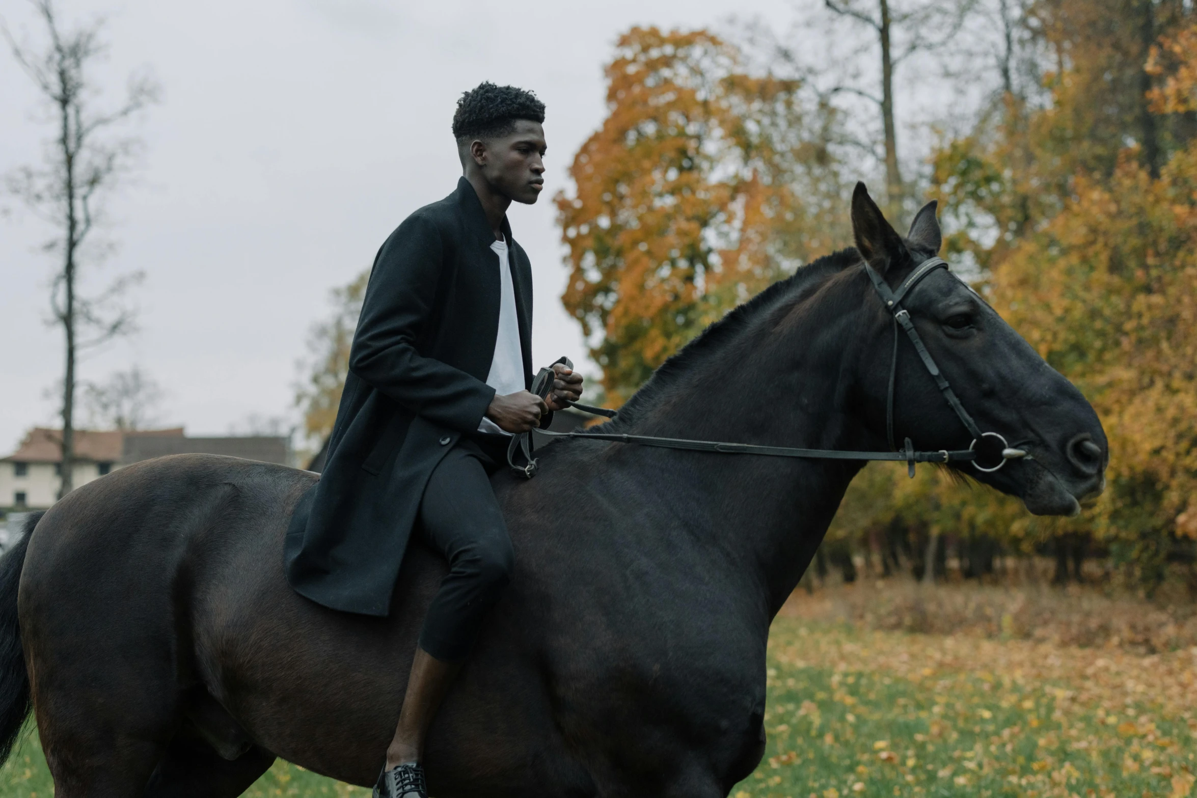 a man on top of a horse, in a field