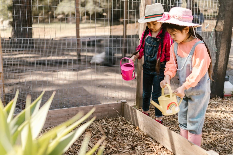 two s in their little garden area