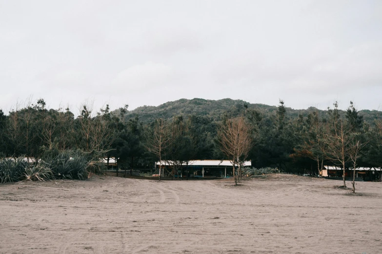 there are several trees that are near the building