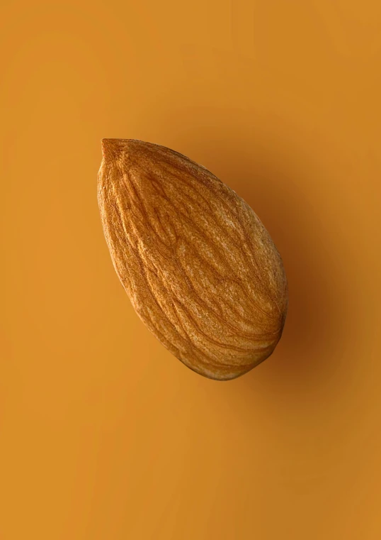 an almond is shown against a yellow background