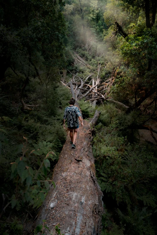 a man walks over a fallen log in the woods