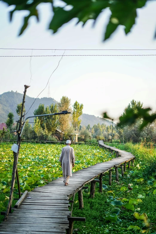 a man walking down a small bridge in the middle of a grassy field