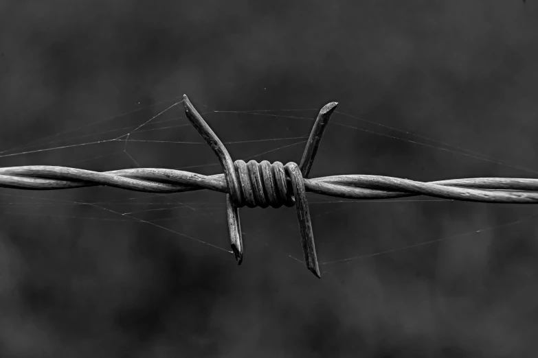 a barbed wire has two hooks on it