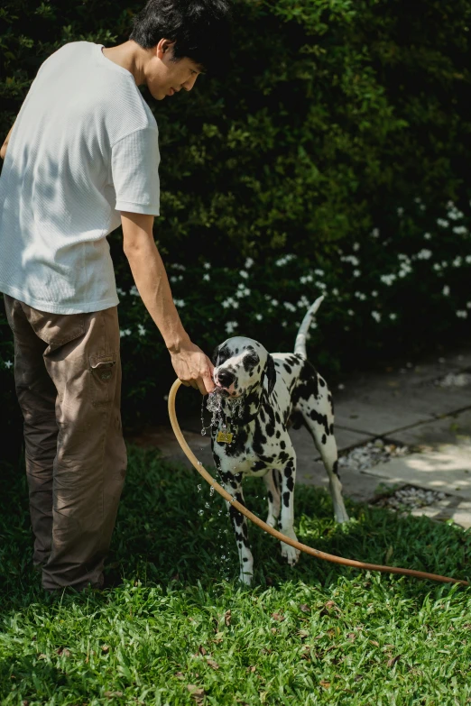 a man is in the yard taking his dog for a bath