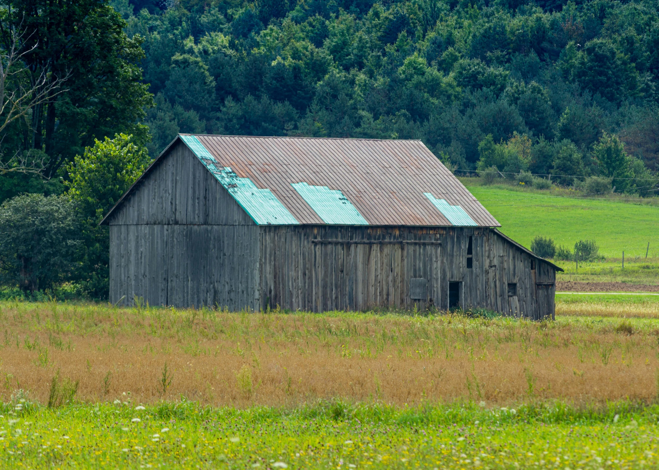 an old wooden barn with a rusted roof sits out in a field near a forest