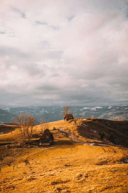 a mountain area that is covered in yellow grass and some trees