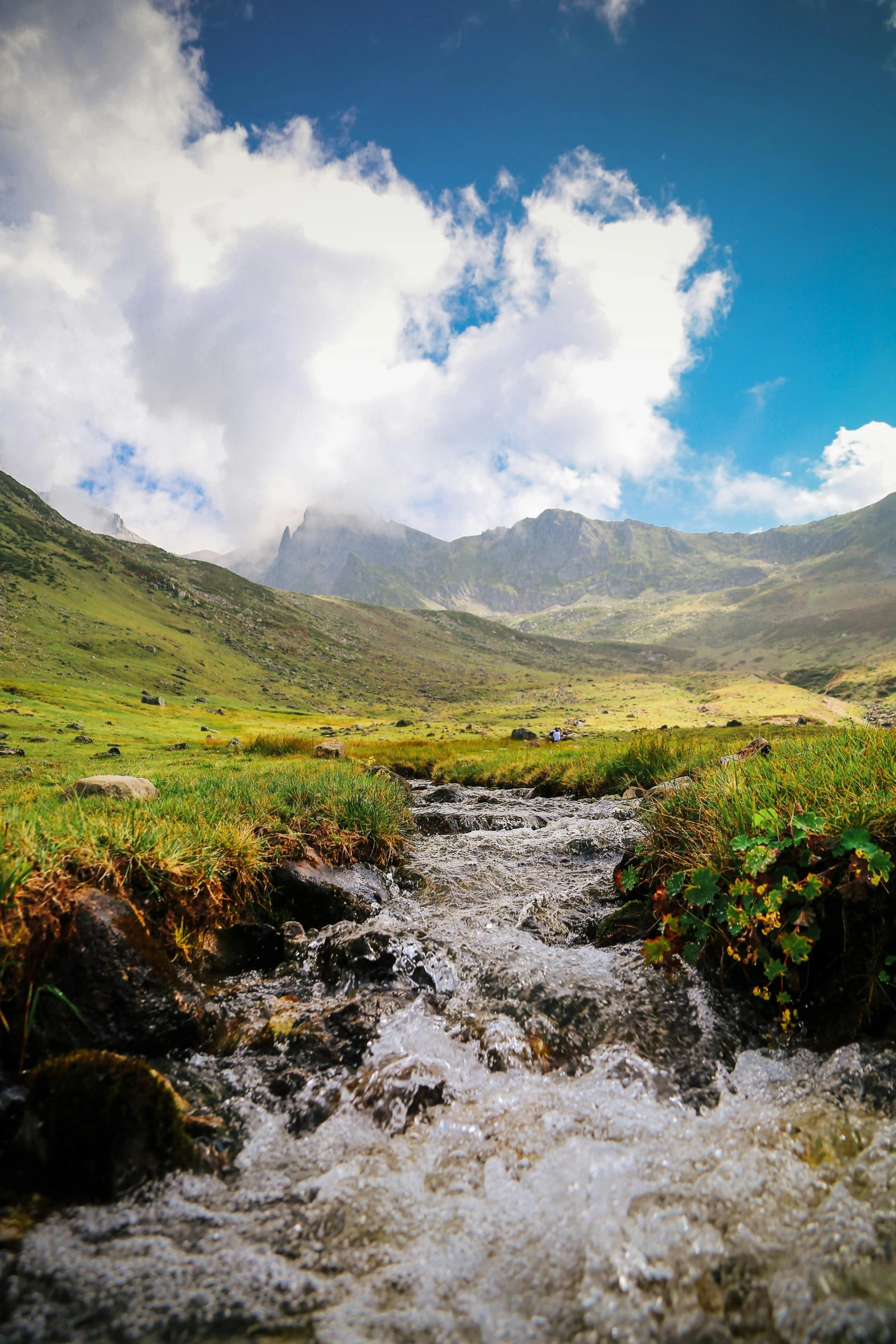 a stream in a lush green valley, in front of a mountainside