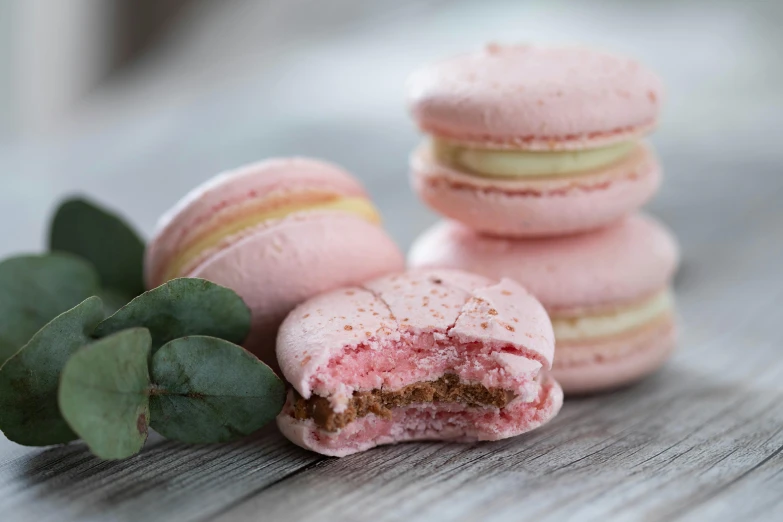 a couple of pink macaroons and green leaves