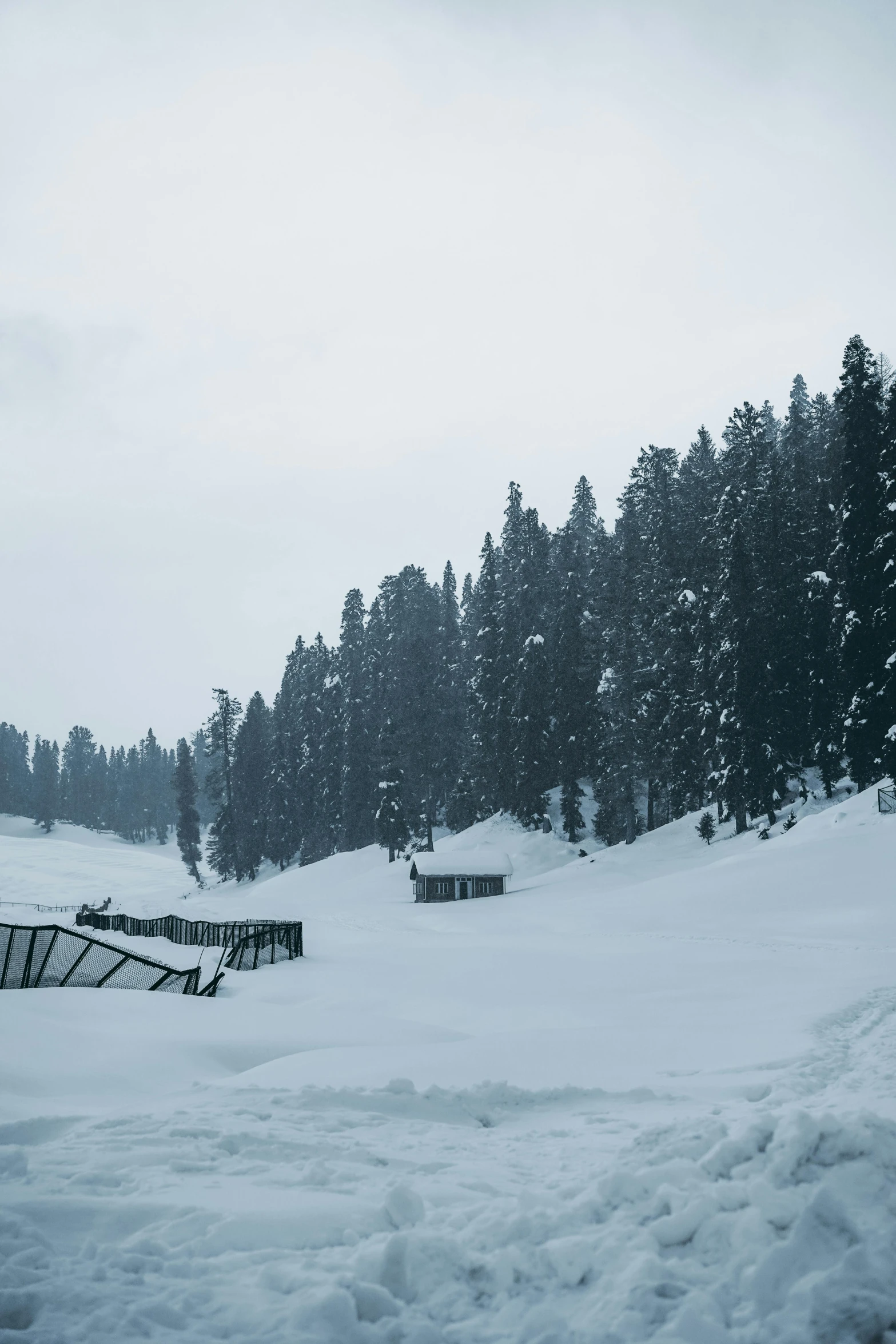 the view of a snowy mountain covered in snow and trees