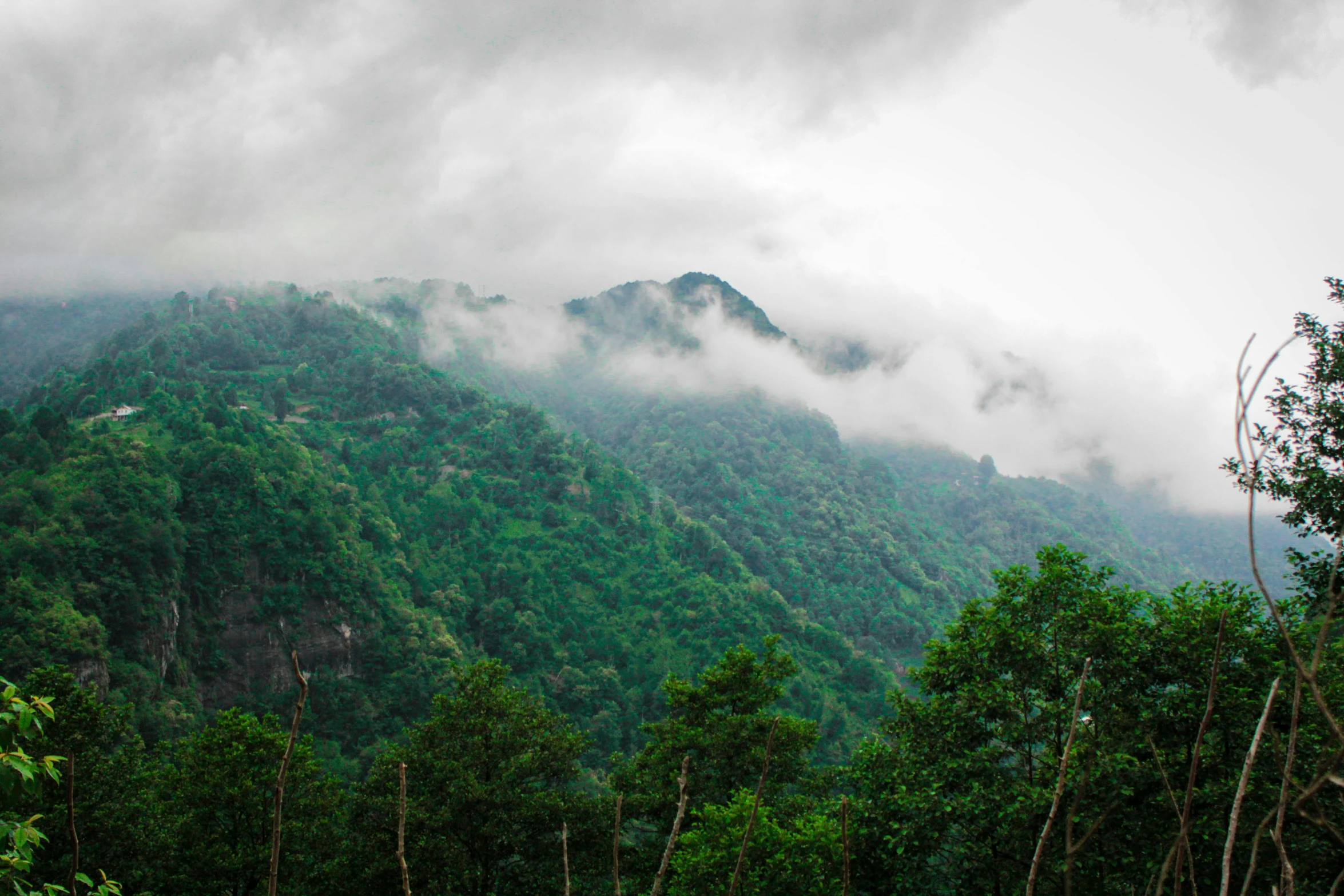 a mountain covered in low lying clouds with trees in the foreground