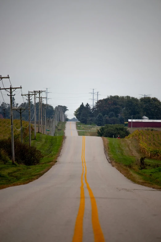 a yellow road is leading to power lines and trees