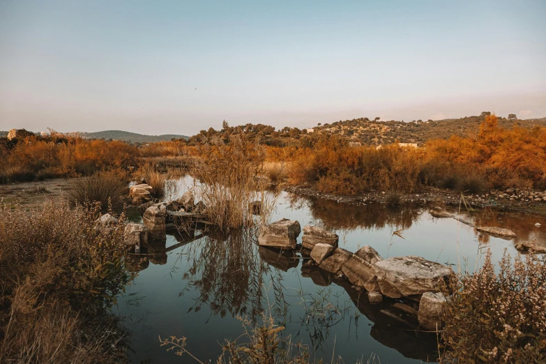 a small river with a small boat floating by