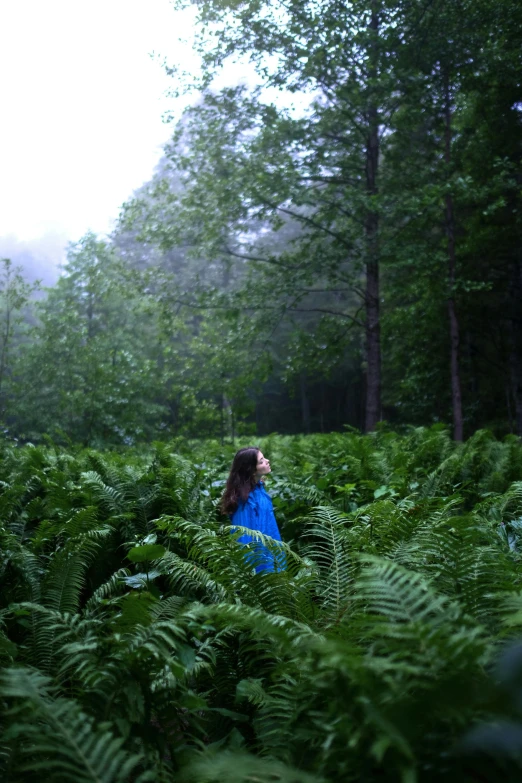 a girl in the woods walking with her hair blowing