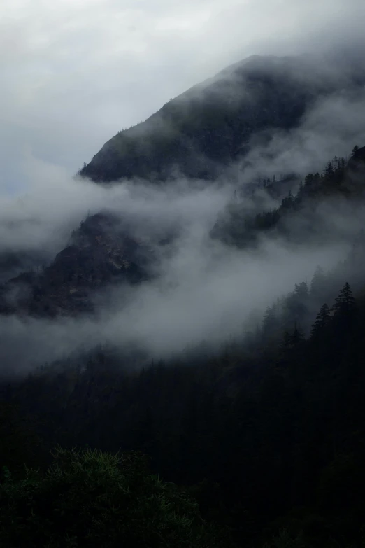 mist covered mountains rise in the distance