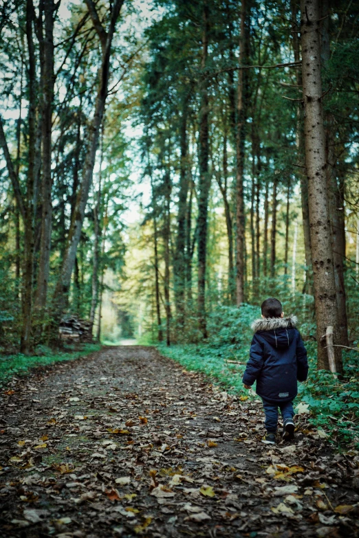 the boy is walking on the path in the woods