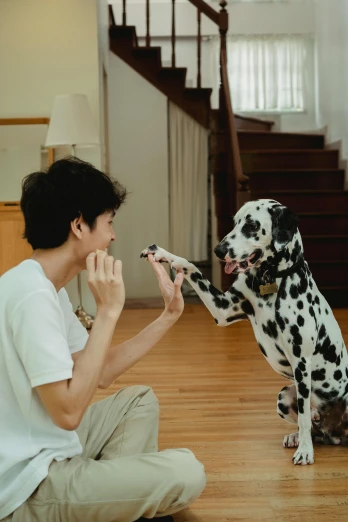 a dog biting a piece of food off of a persons hand