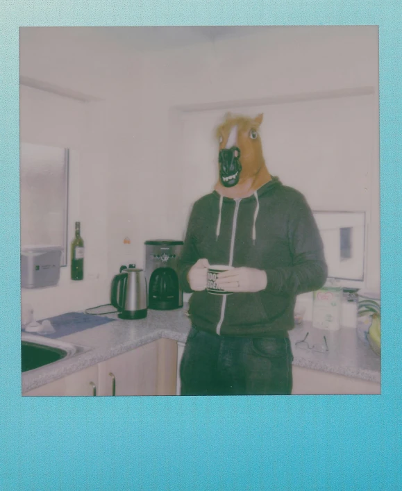 a man in a hoodie is wearing a horse mask