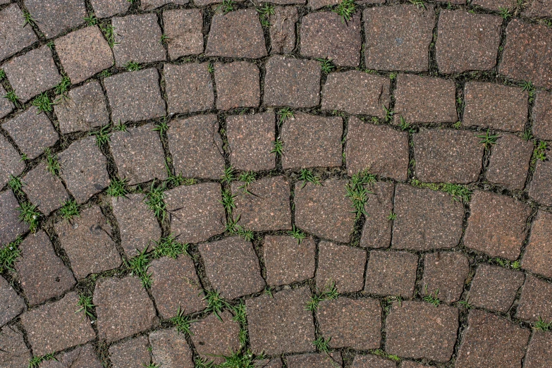 stone and grass are the patterns and colors of a brick