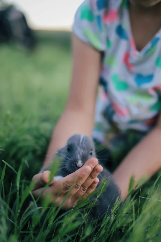 the hand of a child holding a small rodent