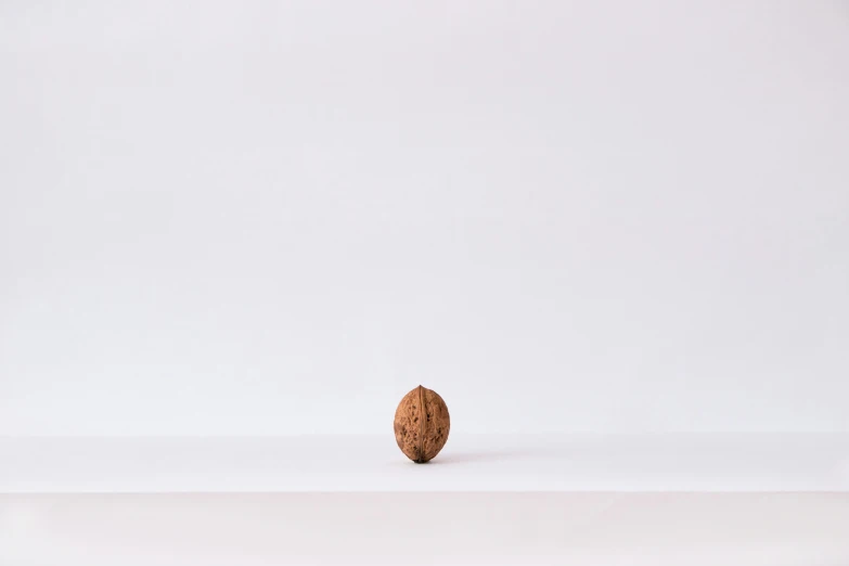 a single almond sitting in the middle of the table