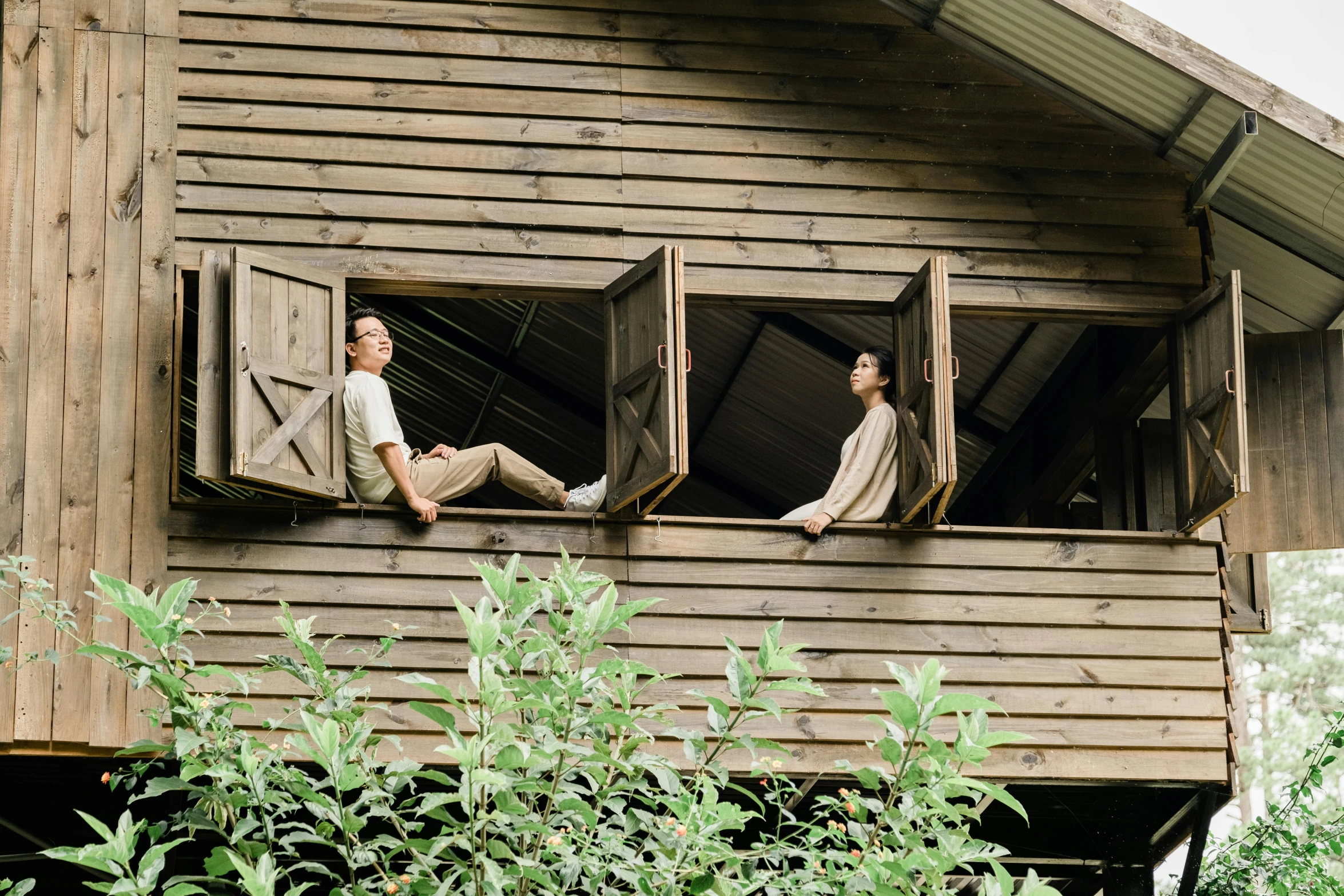 two young men sit on windows above the vegetation