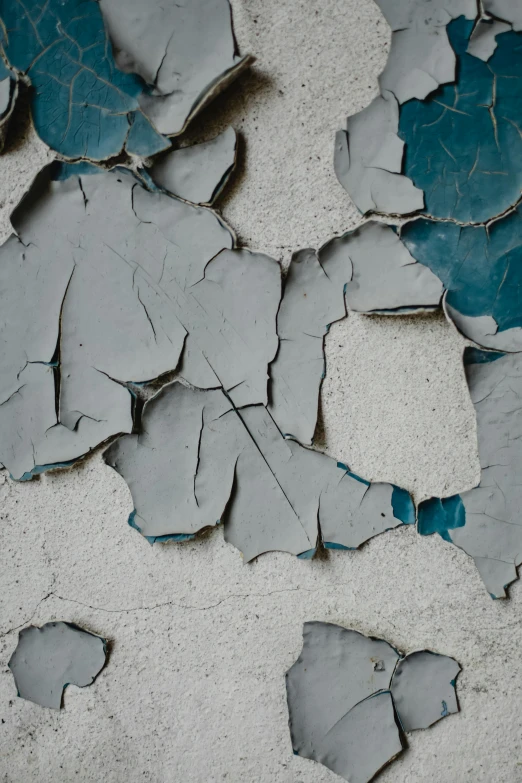 broken leaves are seen on a dirty wall