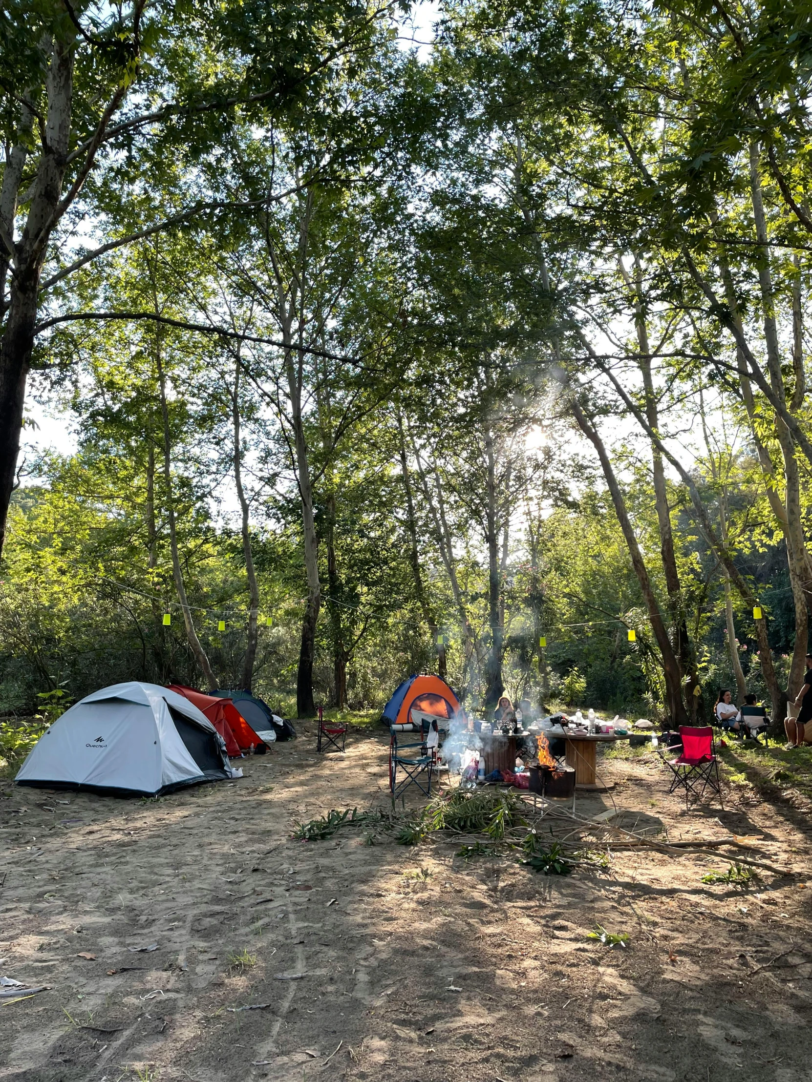 there are many tents pitched up outside of this campsite