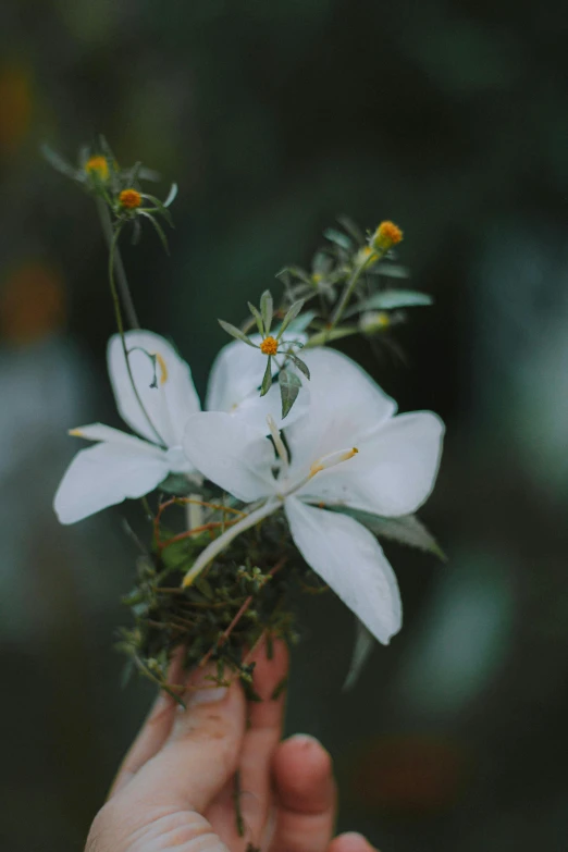 someone holding some flowers in their hands