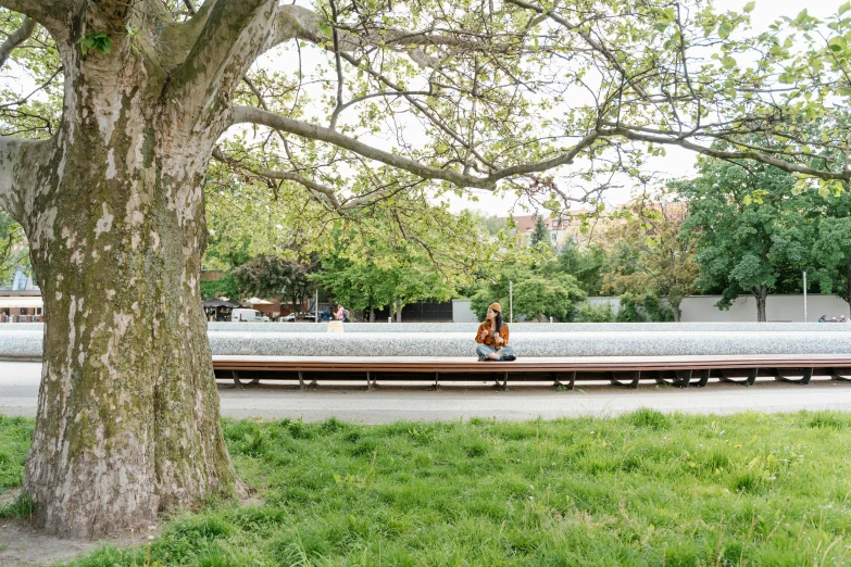 a person is sitting on a bench under the tree