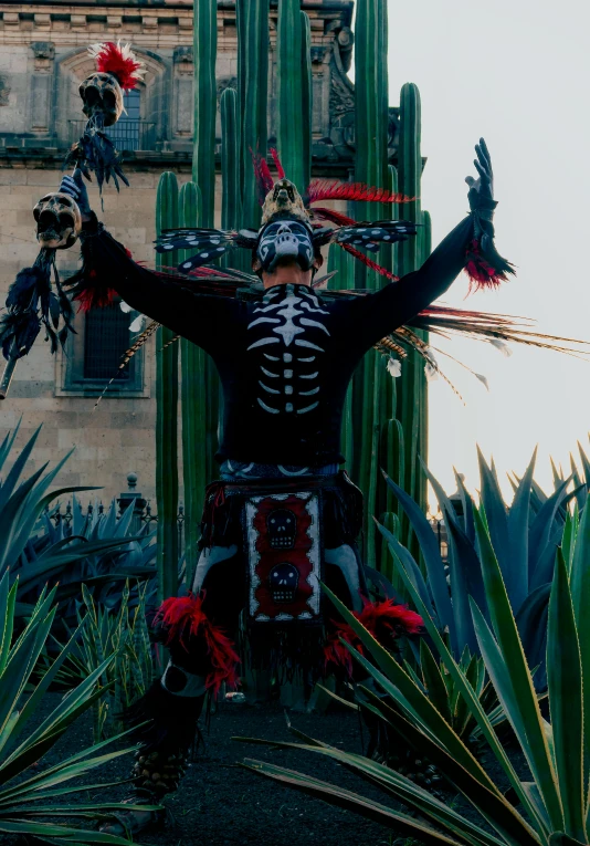 this costume is on display in a cactus garden