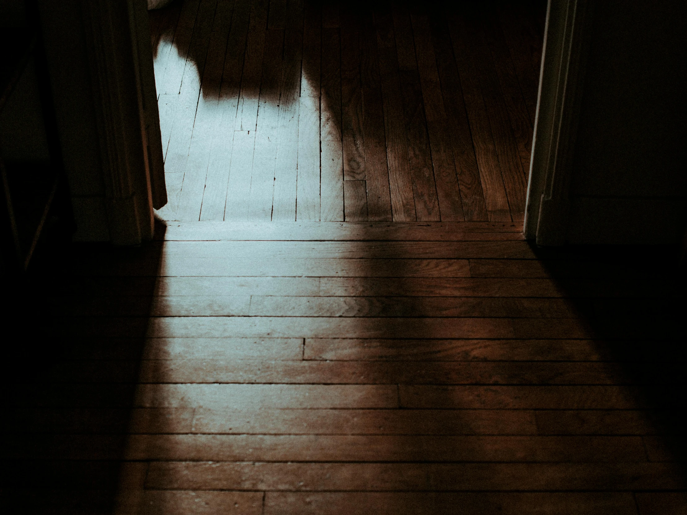 an open door with an empty hallway and dark wood floor