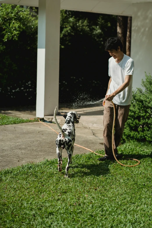 a dog on a leash with a man standing by