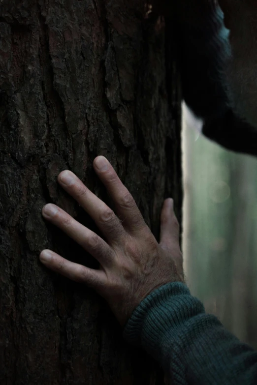a man is holding on to a tree