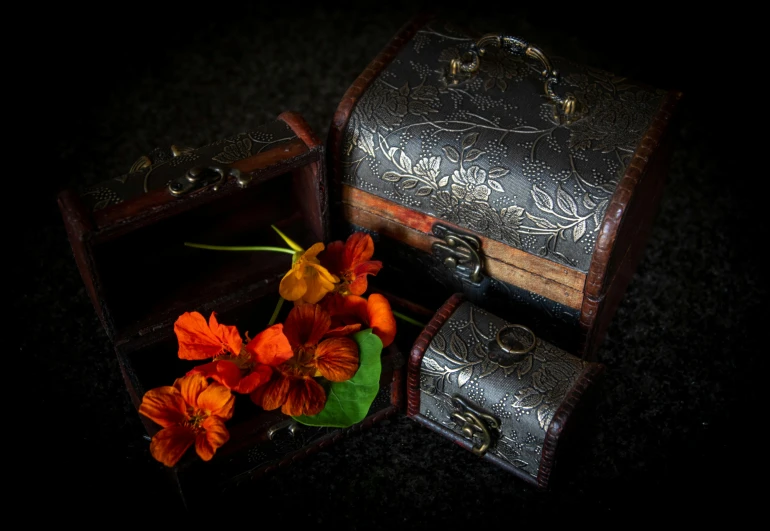 two vintage suitcases on a dark background with a plant and some flowers