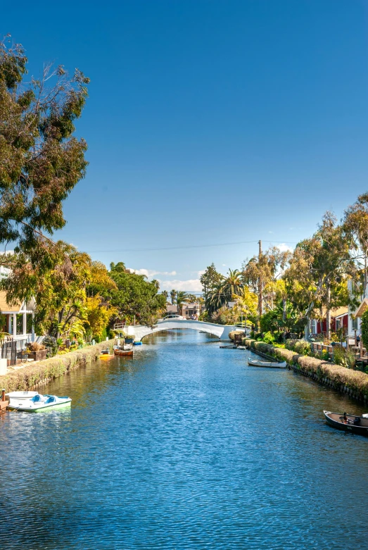 a waterway that is near buildings and trees