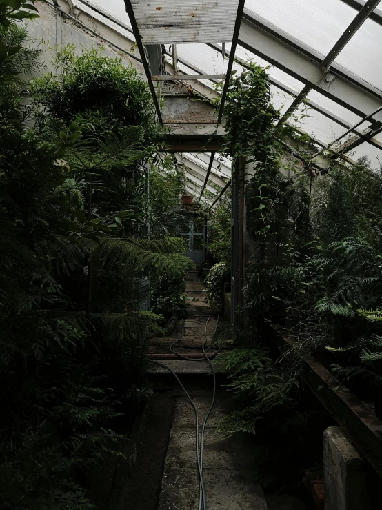 a greenhouse that has several plants growing inside of it