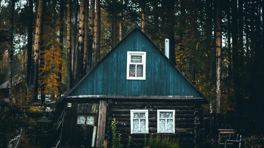 a small house with a blue roof surrounded by pine trees