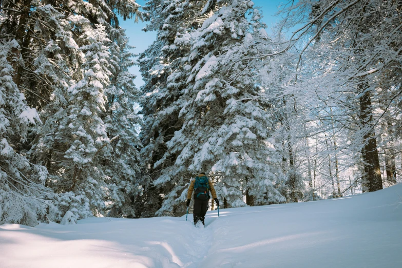 a man skiing down a snowy hill near some trees