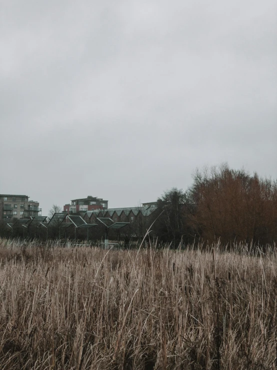 a group of houses are shown along a dry field