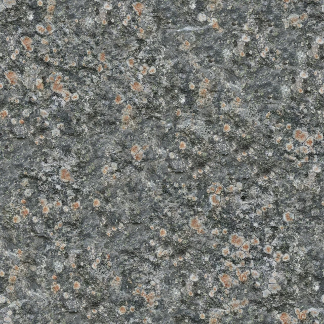 a marble slab that has many small flowers on it