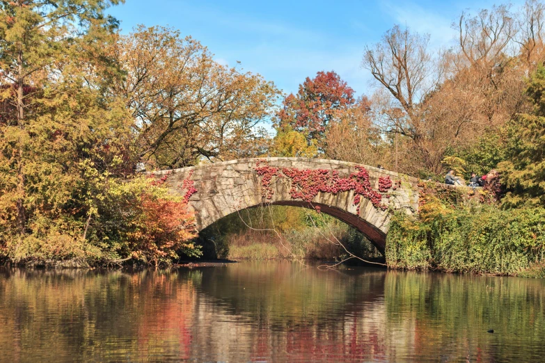 a bridge that is hanging over some water