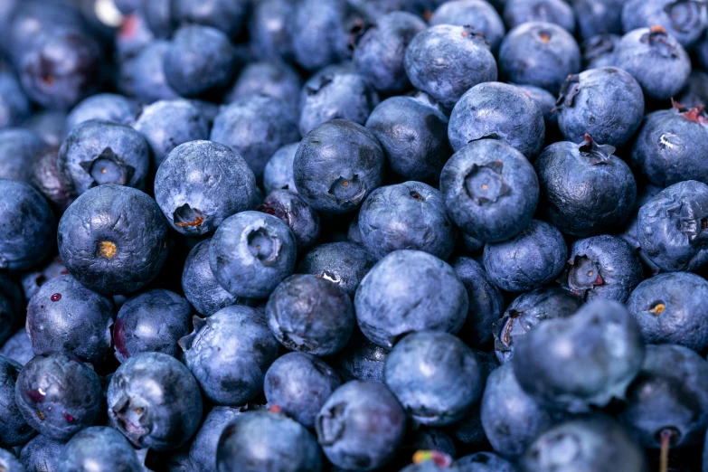 close up of blueberries, with a bunch of berries sitting next to it