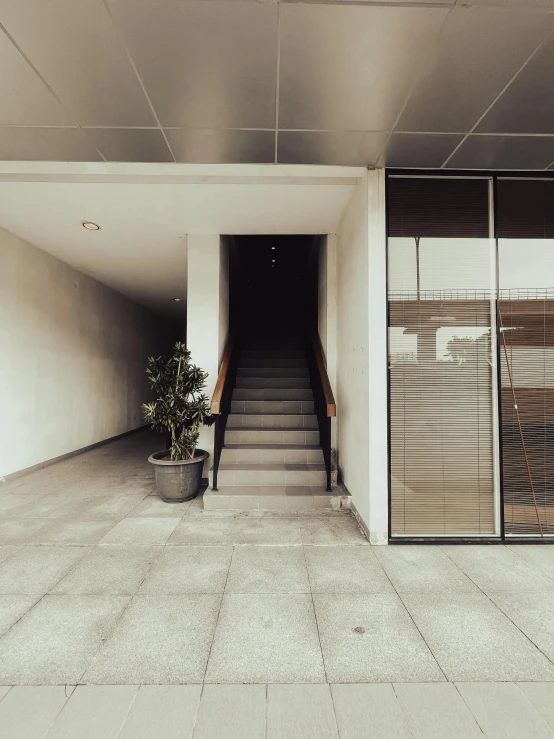 an entrance of a building with a plant and stairs